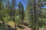 26285 Spyglass Drive - Photo 41