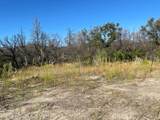 55 Cedar Tree - Photo 1