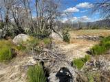 55 Cedar Tree - Photo 10