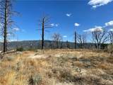 55 Cedar Tree - Photo 13