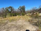 55 Cedar Tree - Photo 3
