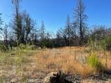 55 Cedar Tree - Photo 4
