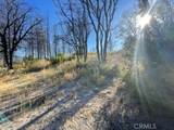 55 Cedar Tree - Photo 7