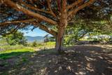 1408 3rd Street - Photo 47