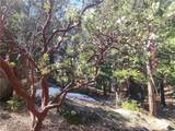 52547 Pine Cove - Photo 13