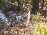 52547 Pine Cove - Photo 14
