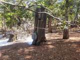 52547 Pine Cove - Photo 19