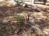 52547 Pine Cove - Photo 20