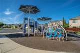 9178 Pato Lane - Photo 42