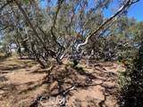 1595 Los Osos Valley - Photo 46
