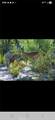 550 Coyote Trail - Photo 8