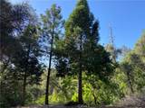 3627 Manzanita - Photo 11
