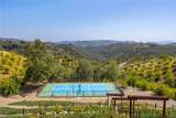 22275 Corte Bonita - Photo 57