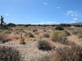 33 Antelope - Photo 1