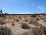 33 Antelope - Photo 4