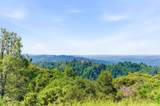 15880 Soda Springs Road - Photo 40