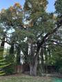 1345 Arbor Avenue - Photo 8
