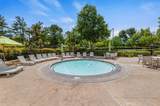 25227 Coral Canyon Road - Photo 51