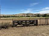 370 Cholame St. - Photo 8