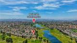 29413 Painted Desert Drive - Photo 61
