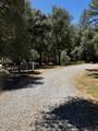 28919 Deer Creek - Photo 14