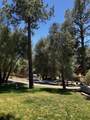 28919 Deer Creek - Photo 15