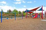 35621 Hawkeye Street - Photo 41