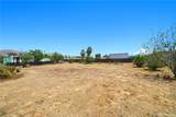 30510 Phillip Rd - Photo 59