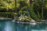 55 Pine Oaks Road - Photo 5