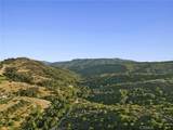 12 Baneberry - Photo 25
