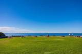 33442 Abalone Drive - Photo 41
