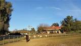 3000 Gold Rush - Photo 48