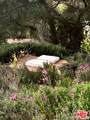 1149 Old Topanga Canyon Road - Photo 42