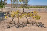 35502 Voss Road - Photo 43