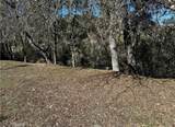 8209 Woody Point - Photo 11