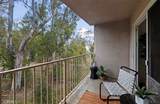 1108 Camino Real - Photo 26