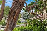 21038 Poolside - Photo 25