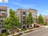 2802 Tradewind Ct - Photo 38