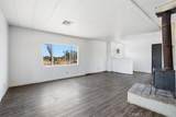 13475 Ailanthus - Photo 8