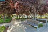 400 Persimmon Common - Photo 26