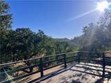 2296 Big Bear Lane - Photo 3