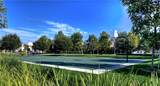 95 Canopy - Photo 40