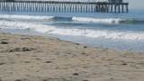 259 Donax - Photo 10