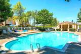 11184 Portobelo Dr - Photo 20