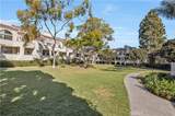 5101 Tortuga Drive - Photo 19