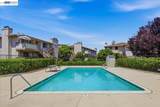 25164 Copa Del Oro Dr - Photo 53