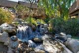 306 Tangelo - Photo 24