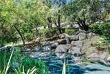 4900 Chapman Ave, #23 - Photo 3