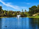  502 Calle Montecito - Photo 31