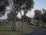 12737 Via Nasca - Photo 21